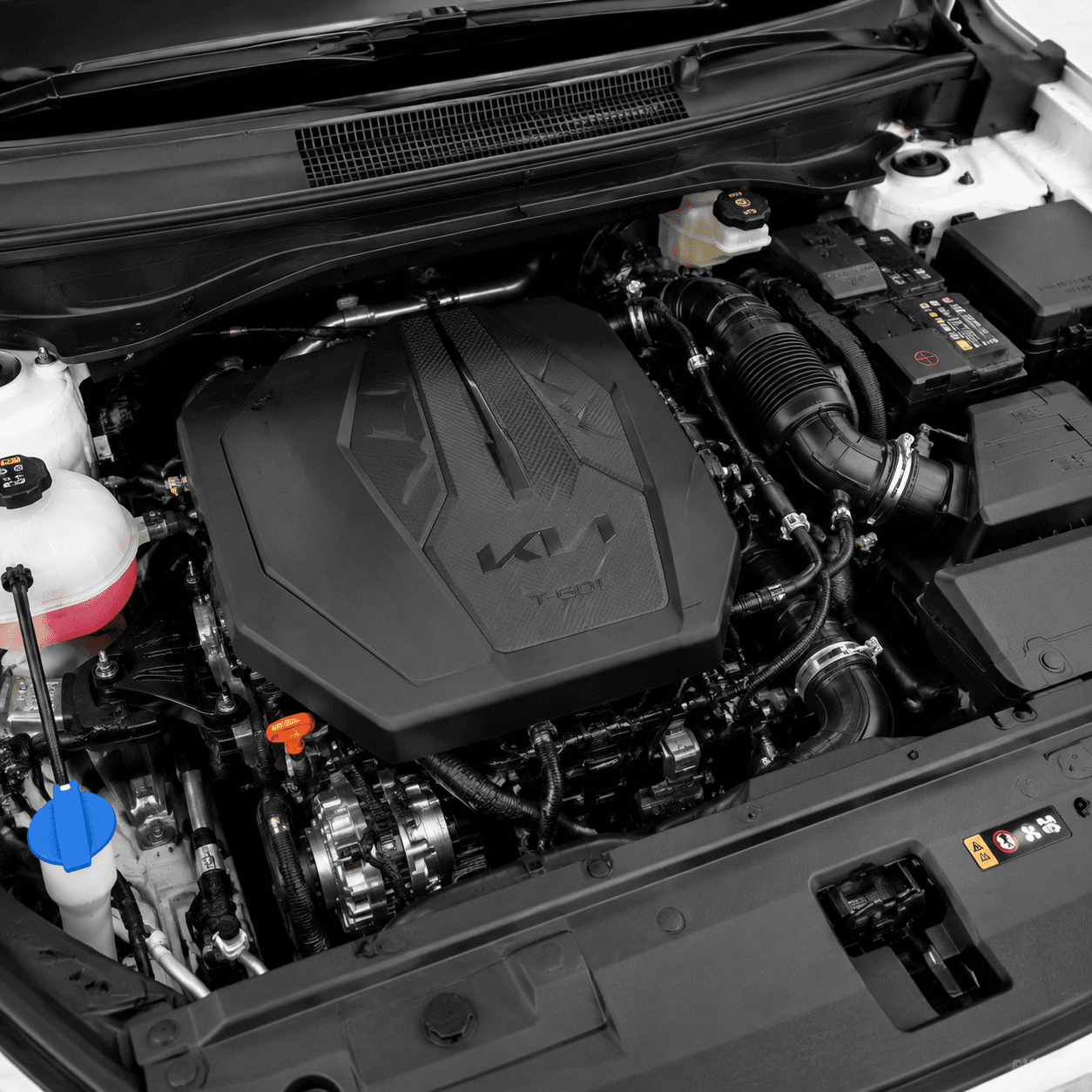 Kia Sportage: image 5